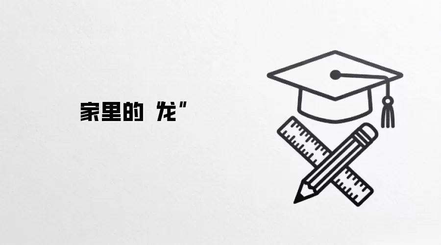 家里的“龙”