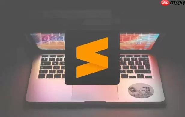 Sublime怎么配置Rust开发环境 Sublime安装LSP智能感知插件【指南】
