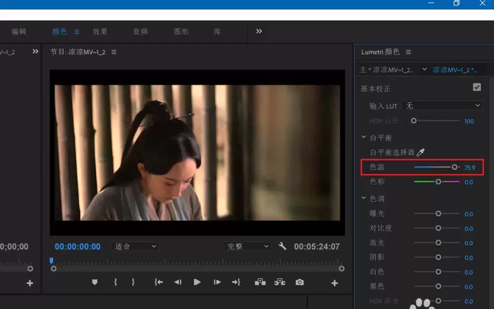 Premiere2018怎么给视频调色