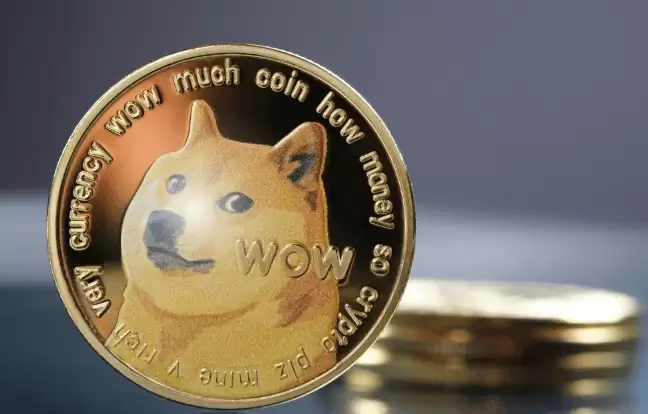 狗狗币最新价格走势图APP 实时查看DOGE币24小时汇率K线 - php中文网