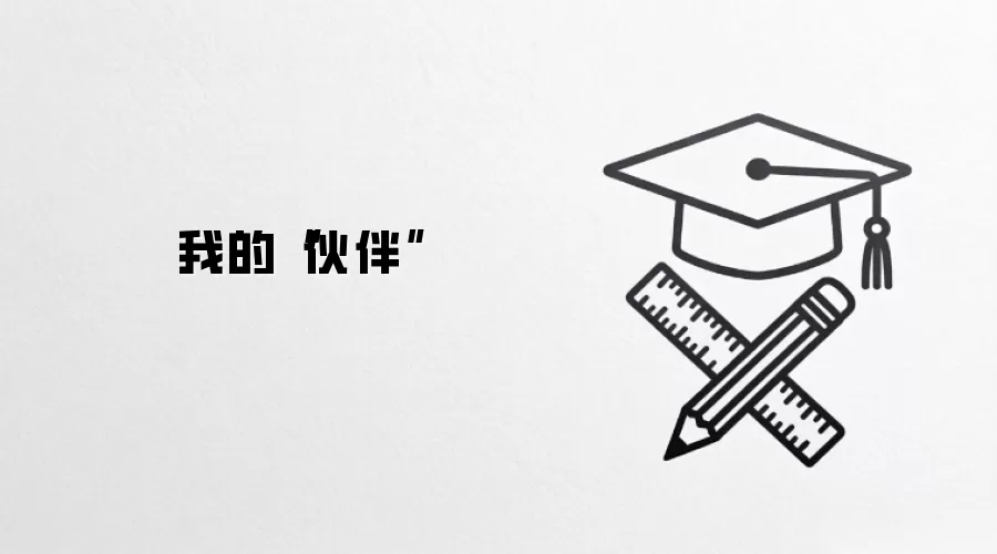 我的“伙伴”