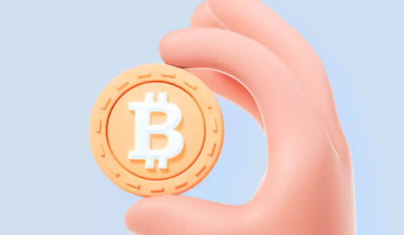 BTC是避险资产还是高风险投资？资产定位剖析 - php中文网