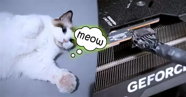 一只猫及时发现RTX 4090显卡烧毁冒烟：救了主人一命！