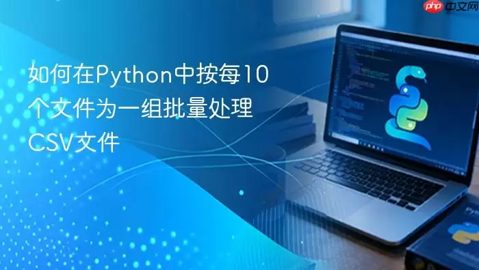 如何在Python中按每10个文件为一组批量处理CSV文件
