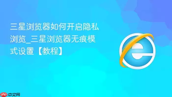 三星浏览器如何开启隐私浏览_三星浏览器无痕模式设置【教程】