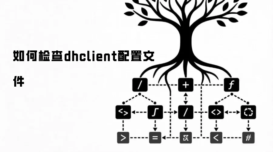 如何检查dhclient配置文件
