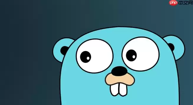 golang如何实现自定义网络协议_golang自定义网络协议实现详解