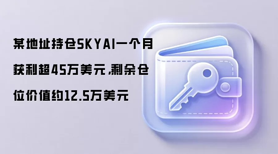 某地址持仓SKYAI一个月获利超45万美元，剩余仓位价值约12.5万美元