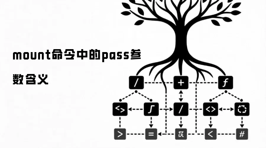 mount命令中的pass参数含义