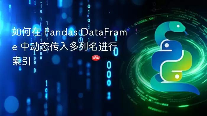 如何在 Pandas DataFrame 中动态传入多列名进行索引