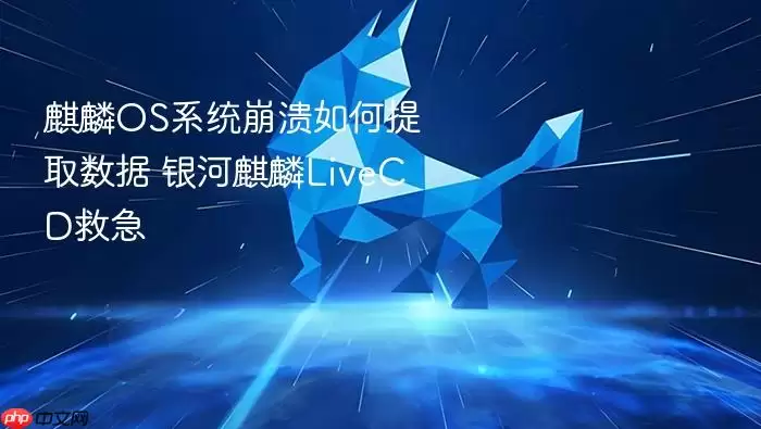 麒麟OS系统崩溃如何提取数据 银河麒麟LiveCD救急