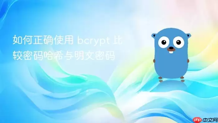 如何正确使用 bcrypt 比较密码哈希与明文密码