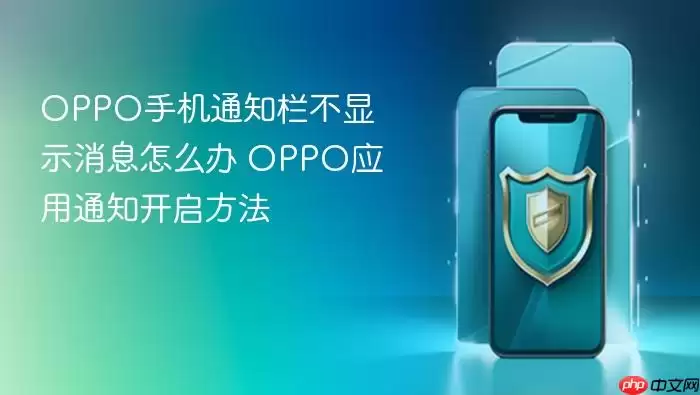 OPPO手机通知栏不显示消息怎么办 OPPO应用通知开启方法