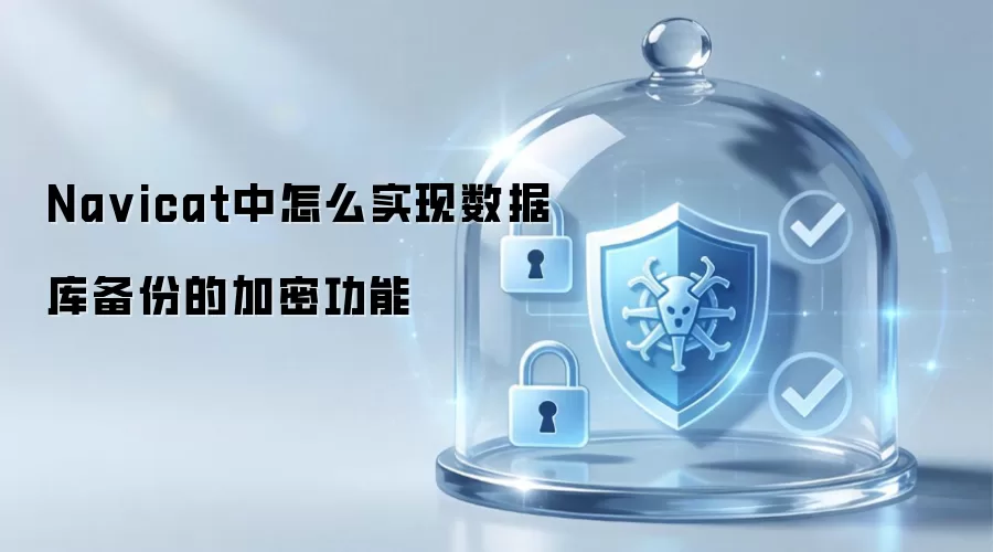 Na vicat中怎么实现数据库备份的加密功能