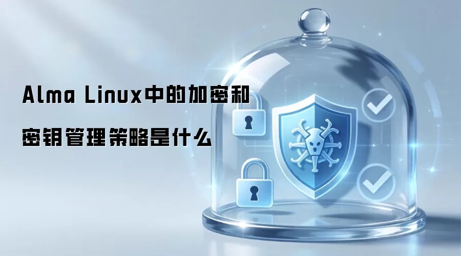 Alma Linux中的加密和密钥管理策略是什么