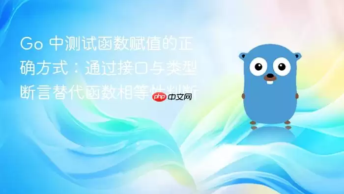 Go 中测试函数赋值的正确方式：通过接口与类型断言替代函数相等性判断