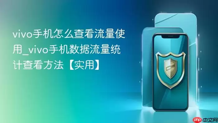 vivo手机怎么查看流量使用_vivo手机数据流量统计查看方法【实用】