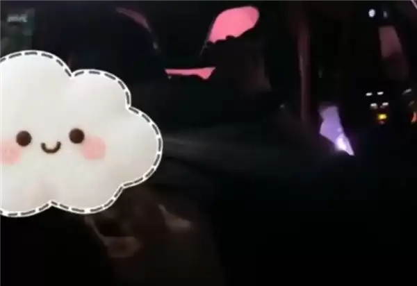顺风车司机高速开启智驾后呼呼大睡 滴滴回应：默认禁止但无法监控