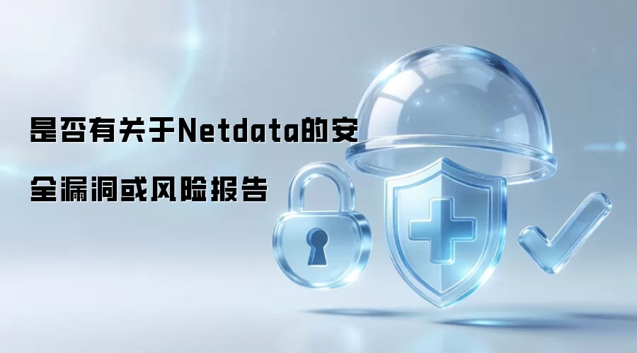 是否有关于Netdata的安全漏洞或风险报告