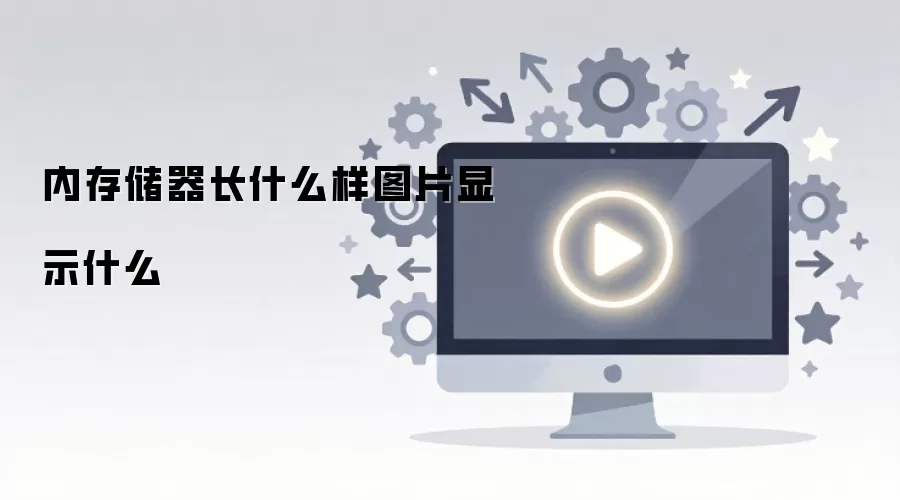 内存储器长什么样图片显示什么
