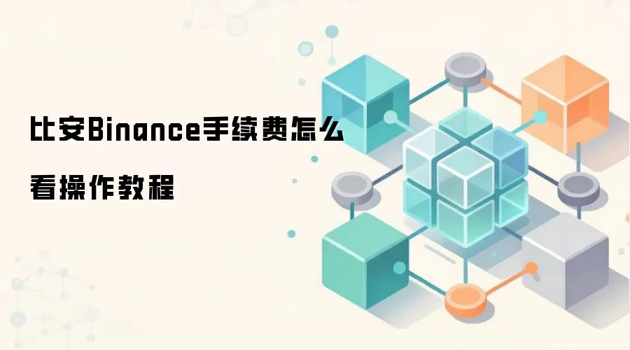 比安Binance手续费怎么看操作教程
