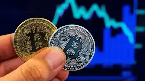 卡尔达诺与巴西利亚大学合作推动区块链教育研究