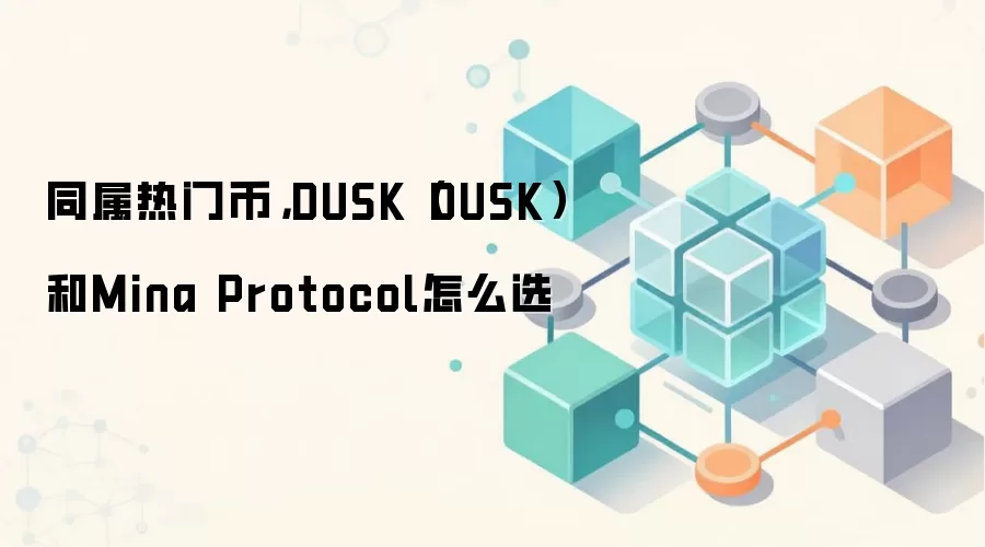 同属热门币，DUSK（DUSK）和Mina Protocol怎么选
