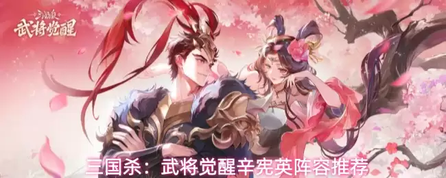 三国杀：武将觉醒辛宪英阵容推荐