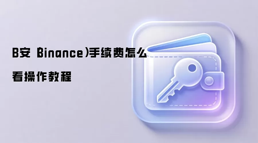 B安（Binance）手续费怎么看操作教程