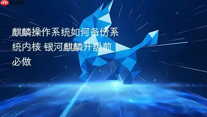 麒麟操作系统如何备份系统内核 银河麒麟升级前必做