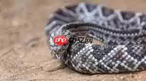 响尾蛇刚出生时尾巴能发出响声吗