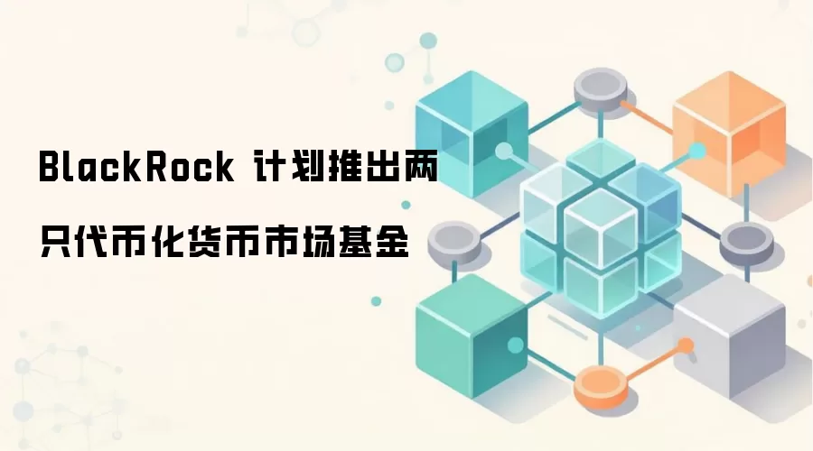 BlackRock 计划推出两只代币化货币市场基金