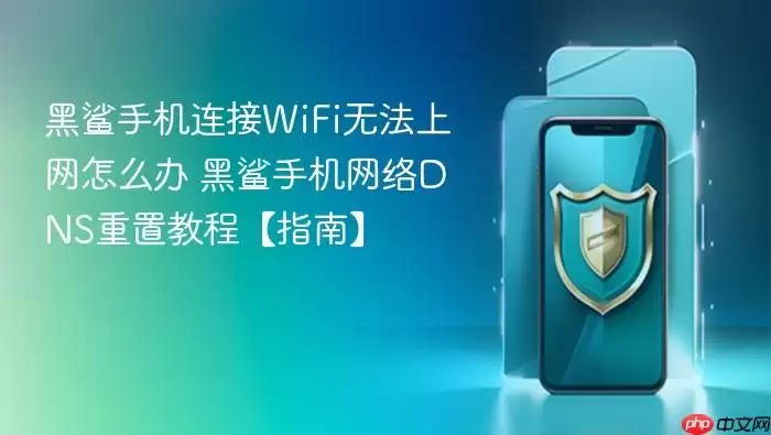 黑鲨手机连接WiFi无法上网怎么办 黑鲨手机网络DNS重置教程【指南】