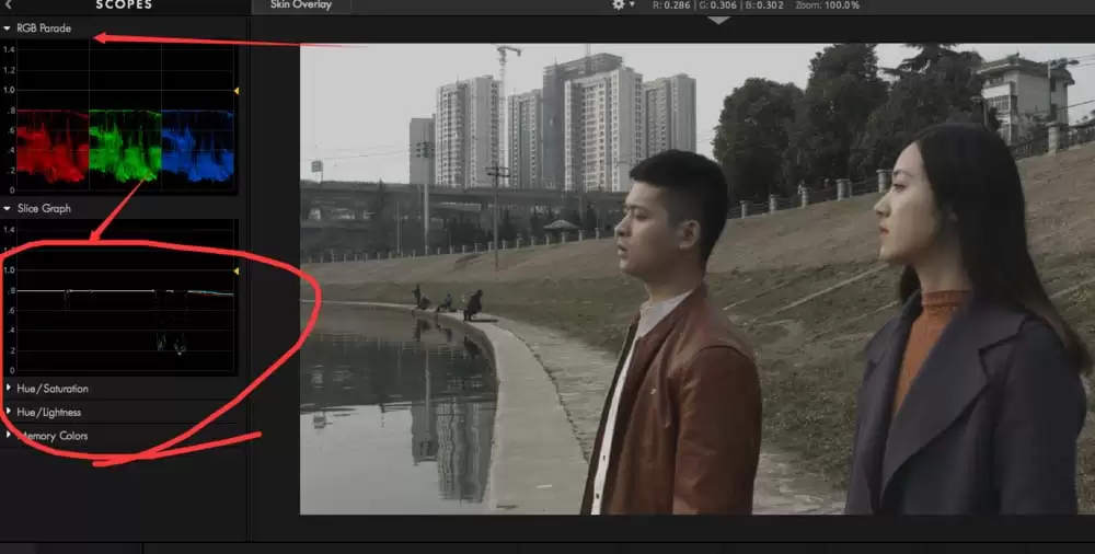 premiere怎么使用looks插件