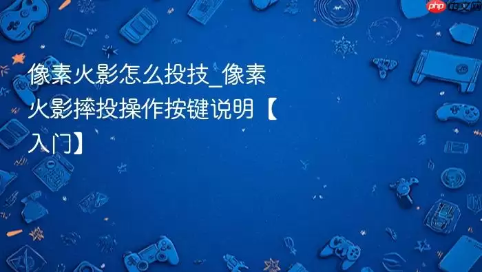 像素火影怎么投技_像素火影摔投操作按键说明【入门】