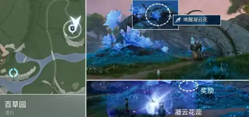 王者荣耀世界问迹凝云花之踪解谜任务完成流程