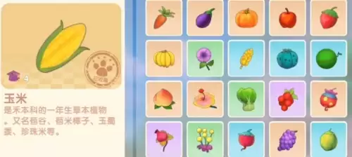 摩尔庄园开心果蔬饼怎么做3