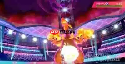 宝可梦冠军机制怎么调整