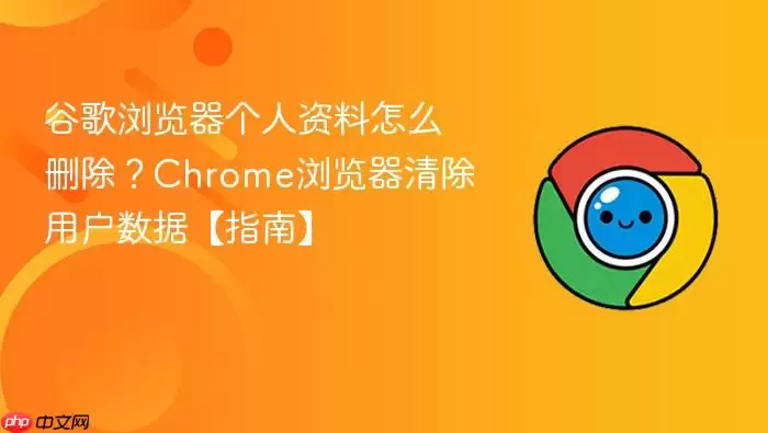 谷歌浏览器个人资料怎么删除?Chrome浏览器清除用户数据【指南】
