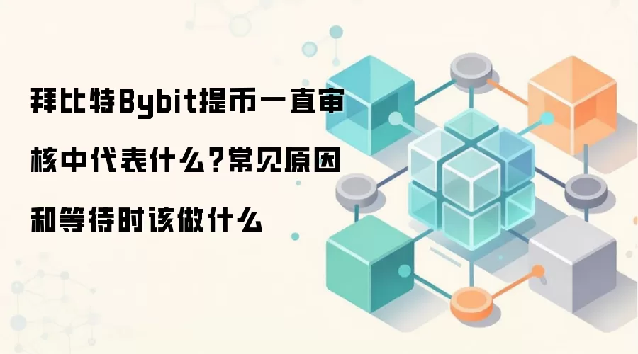 拜比特Bybit提币一直审核中代表什么？常见原因和等待时该做什么