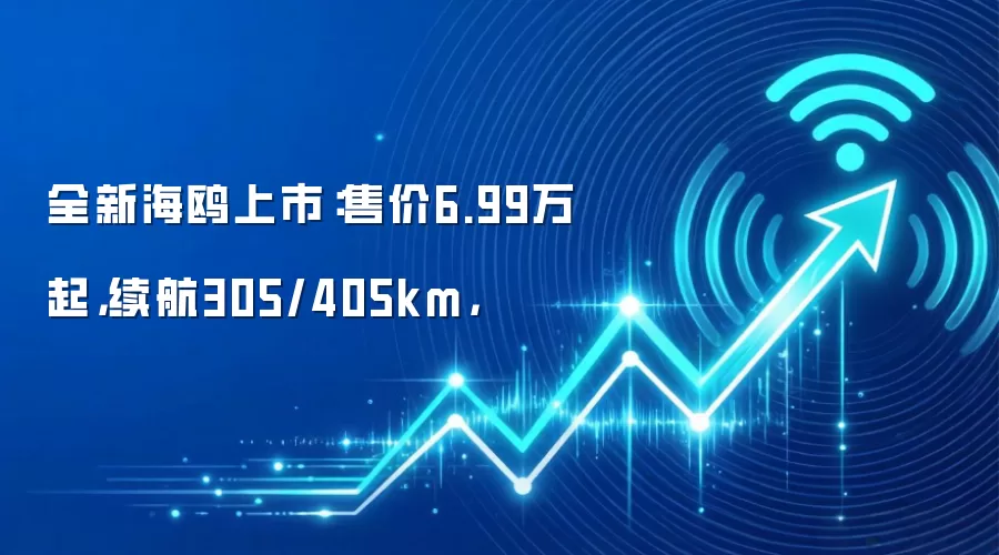 全新海鸥上市:售价6.99万起,续航305/405km,