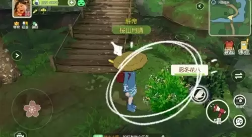 小森生活忍冬花在哪3
