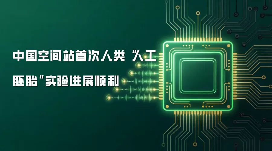 中国空间站首次人类“人工胚胎”实验进展顺利