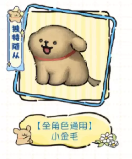 小金毛