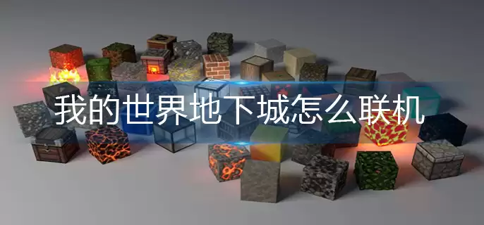 我的世界地下城联机方法