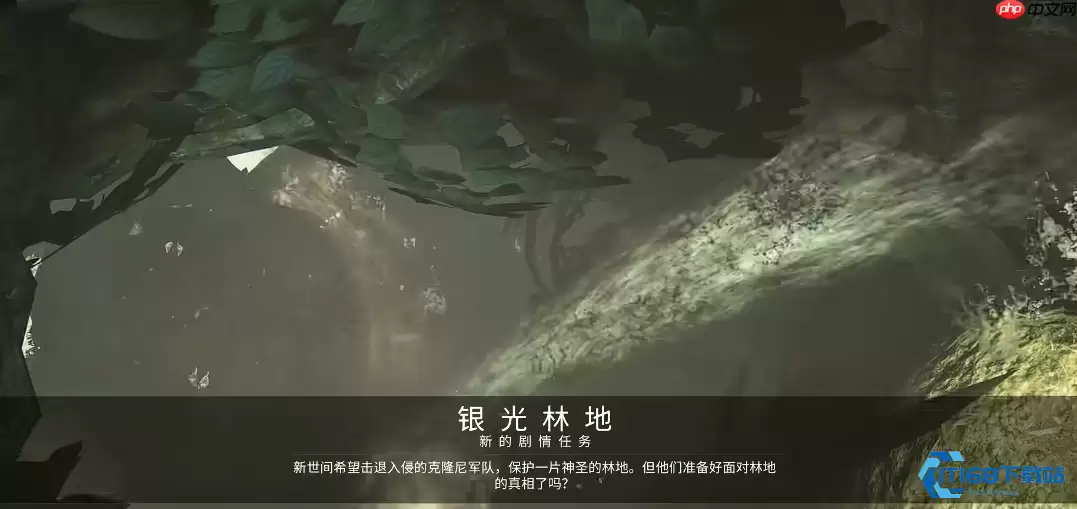 终极银光林地探索攻略 夜灵平野隐藏区域完全解析