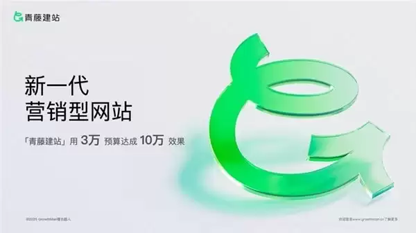 2026 年靠谱的网站建设公司选哪家？十大定制服务商权威测评解析