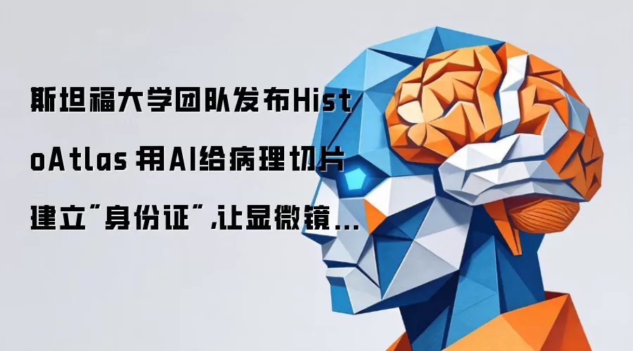 斯坦福大学团队发布HistoAtlas:用AI给病理切片建立