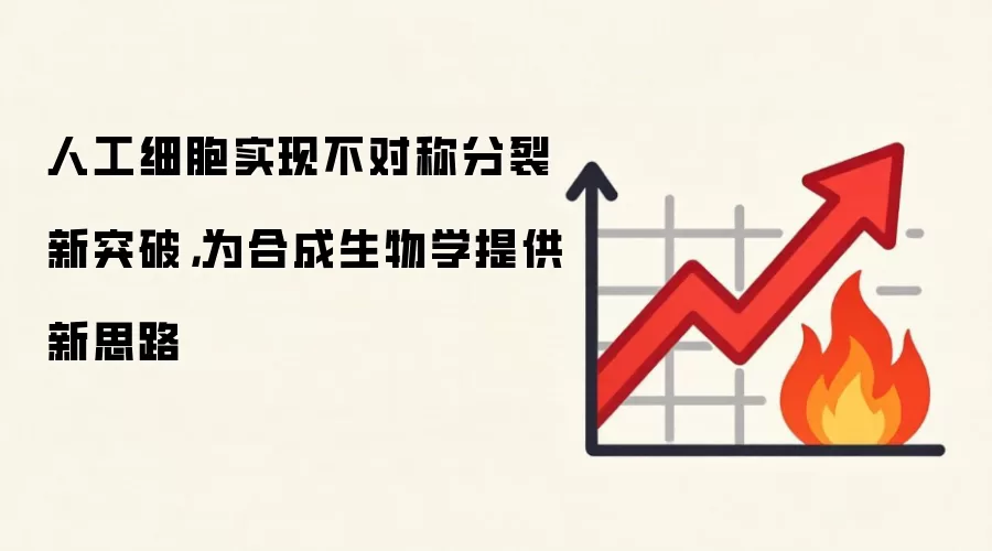 人工细胞实现不对称分裂新突破,为合成生物学提供新思路