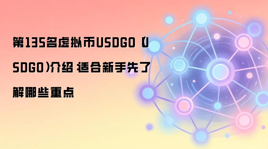 第135名虚拟币USDGO（USDGO）介绍：适合新手先了解哪些重点